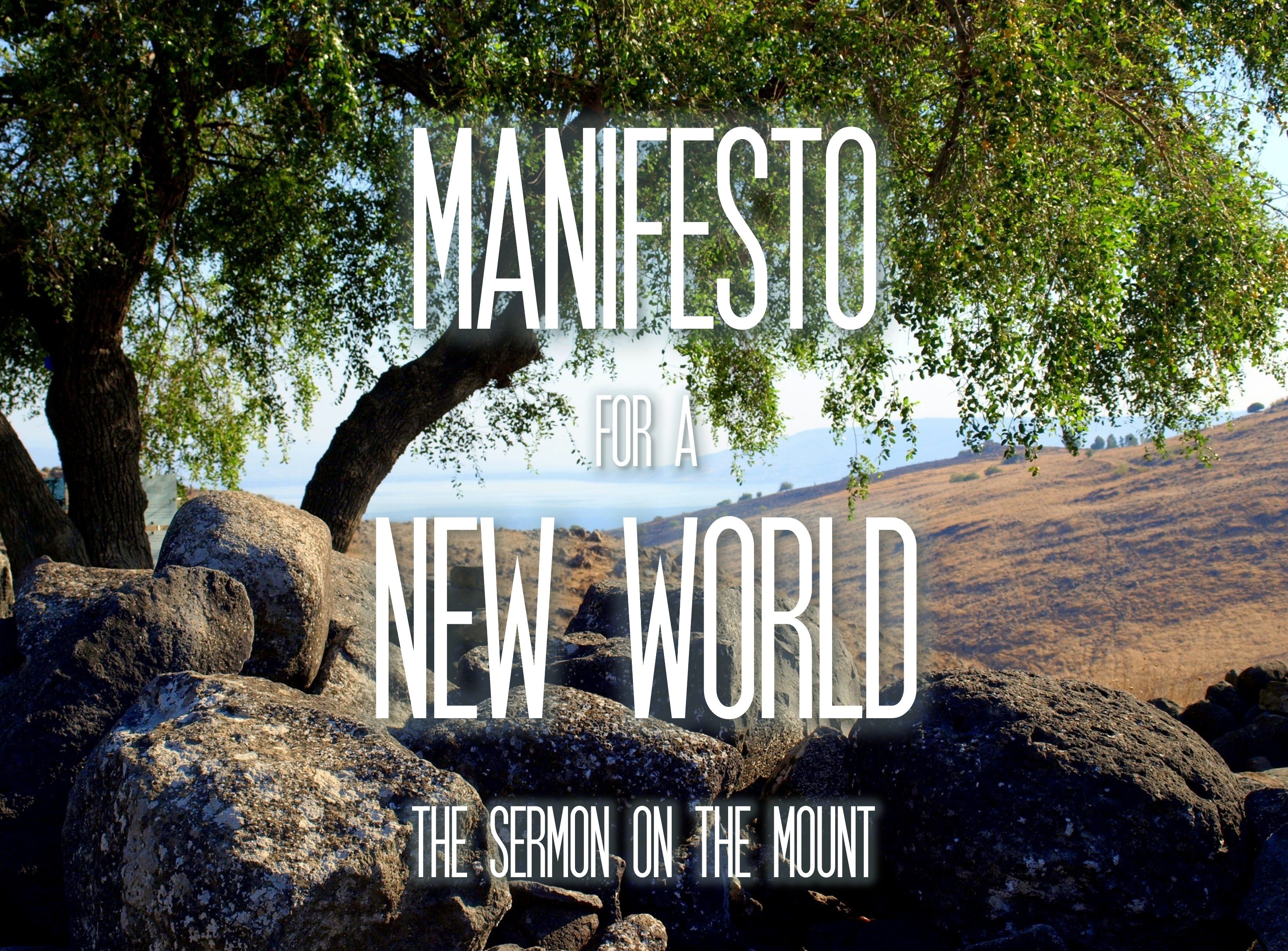 Manifesto For A New World post